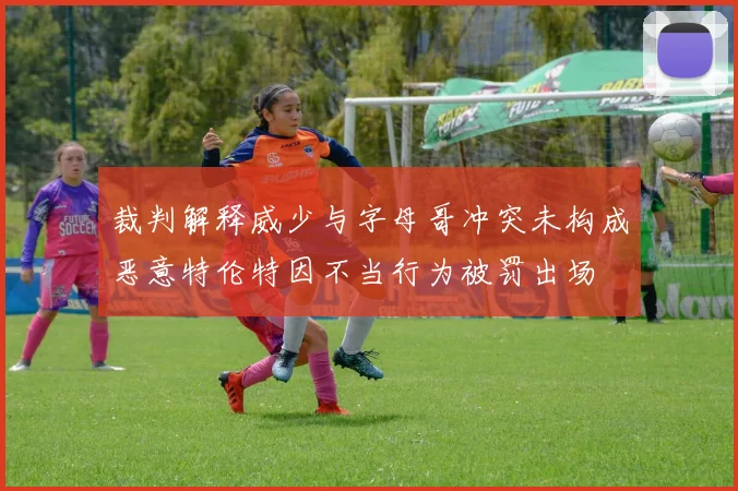裁判解释威少与字母哥冲突未构成恶意特伦特因不当行为被罚出场