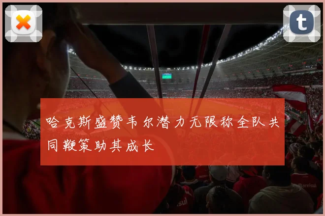 哈克斯盛赞韦尔潜力无限称全队共同鞭策助其成长